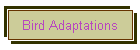 Bird Adaptations